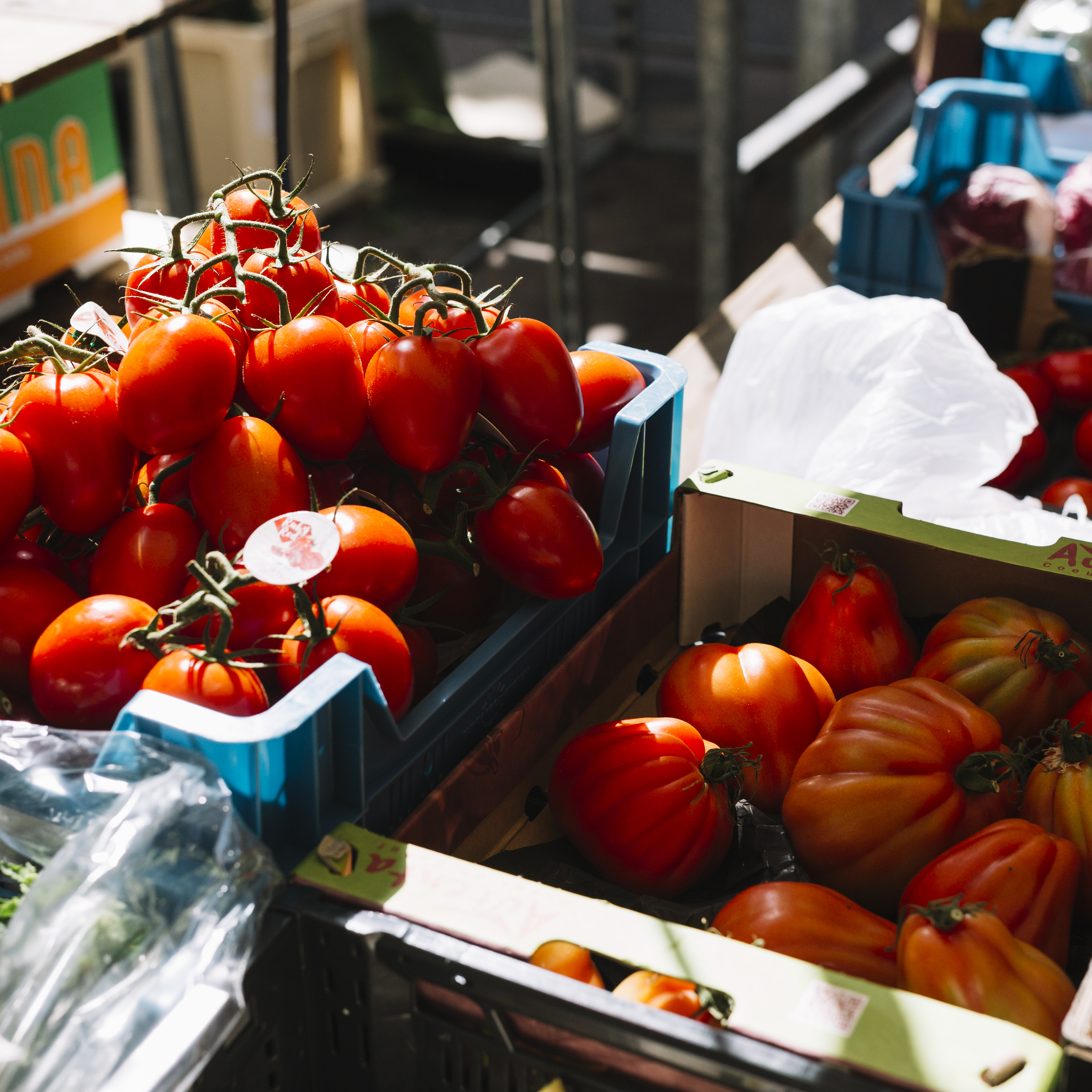 messages.sorting_packaging_fruits_vegetables